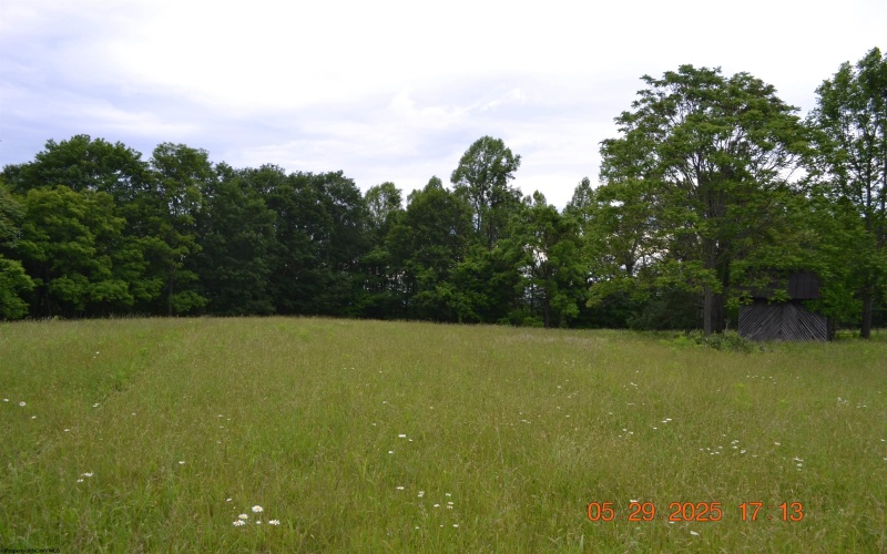 805 Fiddlers Glen Road, Heaters, West Virginia 26627, ,Lots/land,For Sale,Fiddlers Glen,10159804