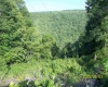10595 RIVER Road, Kingwood, West Virginia 26537-7049, 1 Bedroom Bedrooms, 7 Rooms Rooms,1 BathroomBathrooms,Single Family Detached,For Sale,RIVER,10159811