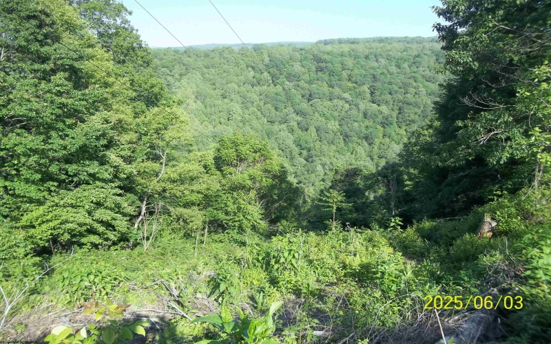 10595 RIVER Road, Kingwood, West Virginia 26537-7049, 1 Bedroom Bedrooms, 7 Rooms Rooms,1 BathroomBathrooms,Single Family Detached,For Sale,RIVER,10159811