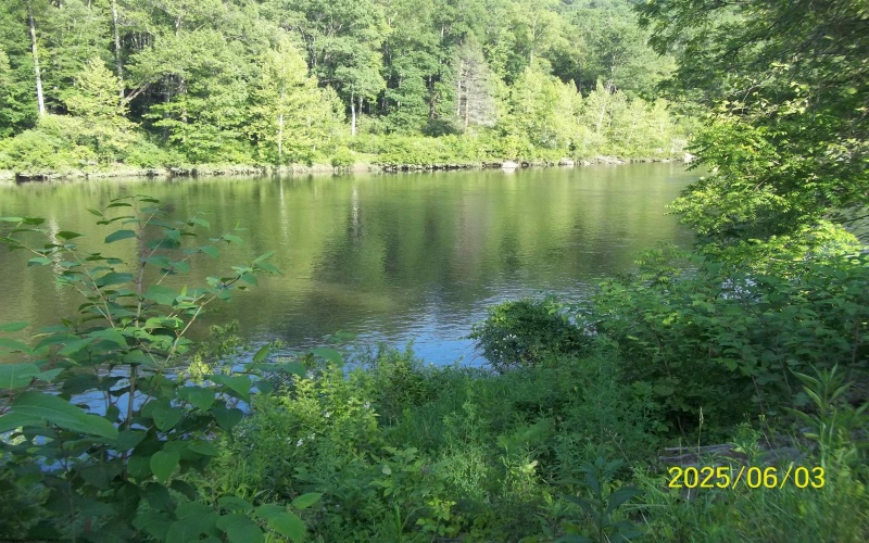 10595 RIVER Road, Kingwood, West Virginia 26537-7049, 1 Bedroom Bedrooms, 7 Rooms Rooms,1 BathroomBathrooms,Single Family Detached,For Sale,RIVER,10159811