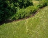 25 Bens Run Road, Orlando, West Virginia 26412, ,Lots/land,For Sale,Bens Run,10159829
