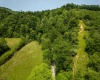 25 Bens Run Road, Orlando, West Virginia 26412, ,Lots/land,For Sale,Bens Run,10159829