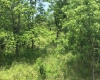 25 Bens Run Road, Orlando, West Virginia 26412, ,Lots/land,For Sale,Bens Run,10159829