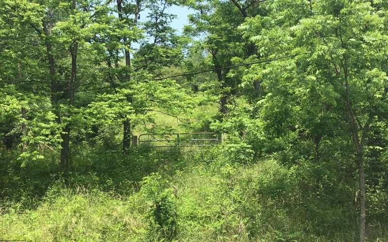 25 Bens Run Road, Orlando, West Virginia 26412, ,Lots/land,For Sale,Bens Run,10159829