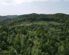 25 Bens Run Road, Orlando, West Virginia 26412, ,Lots/land,For Sale,Bens Run,10159829
