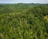 25 Bens Run Road, Orlando, West Virginia 26412, ,Lots/land,For Sale,Bens Run,10159829