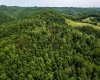 25 Bens Run Road, Orlando, West Virginia 26412, ,Lots/land,For Sale,Bens Run,10159829
