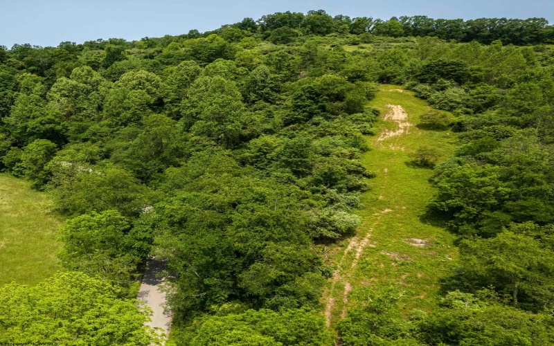 25 Bens Run Road, Orlando, West Virginia 26412, ,Lots/land,For Sale,Bens Run,10159829