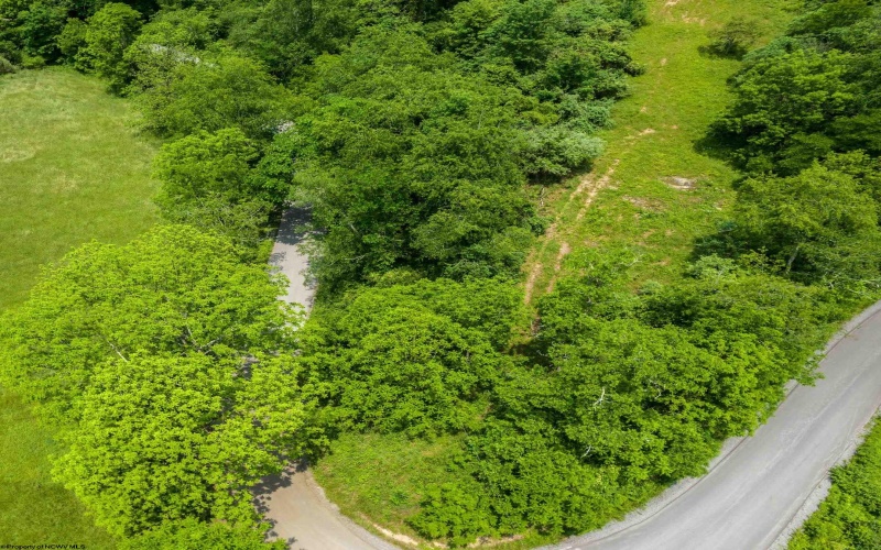 25 Bens Run Road, Orlando, West Virginia 26412, ,Lots/land,For Sale,Bens Run,10159829