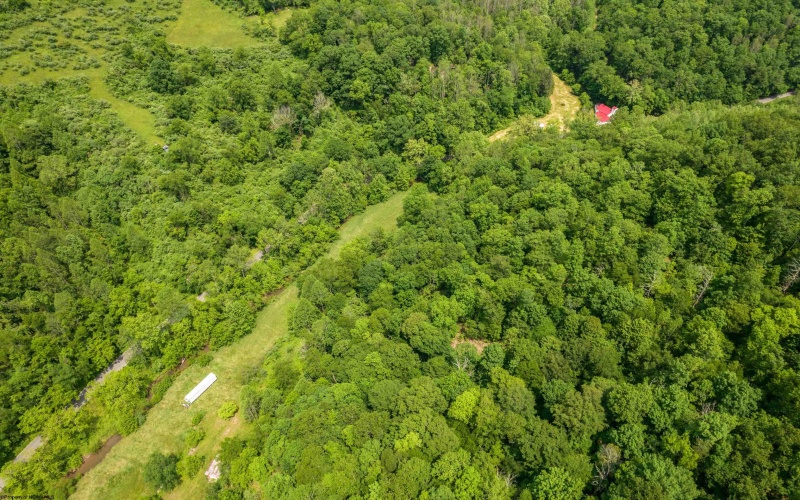 25 Bens Run Road, Orlando, West Virginia 26412, ,Lots/land,For Sale,Bens Run,10159829