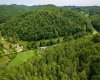 25 Bens Run Road, Orlando, West Virginia 26412, ,Lots/land,For Sale,Bens Run,10159829