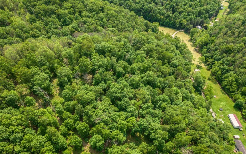 25 Bens Run Road, Orlando, West Virginia 26412, ,Lots/land,For Sale,Bens Run,10159829