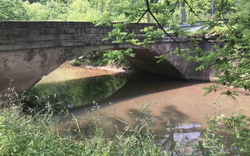 25 Bens Run Road, Orlando, West Virginia 26412, ,Lots/land,For Sale,Bens Run,10159829