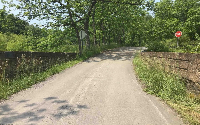 25 Bens Run Road, Orlando, West Virginia 26412, ,Lots/land,For Sale,Bens Run,10159829
