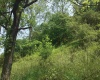 25 Bens Run Road, Orlando, West Virginia 26412, ,Lots/land,For Sale,Bens Run,10159829