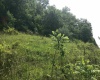 25 Bens Run Road, Orlando, West Virginia 26412, ,Lots/land,For Sale,Bens Run,10159829
