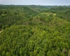 25 Bens Run Road, Orlando, West Virginia 26412, ,Lots/land,For Sale,Bens Run,10159829