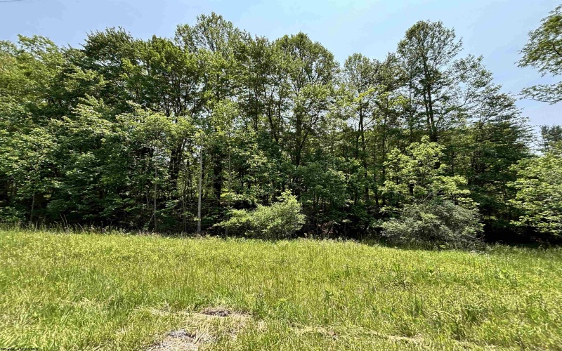 00 BARBOUR COUNTY Highway, Philippi, West Virginia 26416, ,Lots/land,For Sale,BARBOUR COUNTY,10159844
