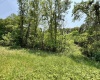 00 BARBOUR COUNTY Highway, Philippi, West Virginia 26416, ,Lots/land,For Sale,BARBOUR COUNTY,10159844