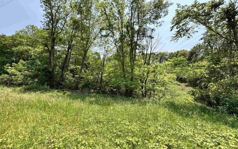 00 BARBOUR COUNTY Highway, Philippi, West Virginia 26416, ,Lots/land,For Sale,BARBOUR COUNTY,10159844