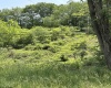 00 BARBOUR COUNTY Highway, Philippi, West Virginia 26416, ,Lots/land,For Sale,BARBOUR COUNTY,10159844