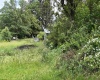 TBD WALNUT Street, Belington, West Virginia 26250, ,Lots/land,For Sale,WALNUT,10159846