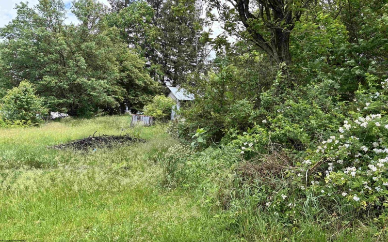 TBD WALNUT Street, Belington, West Virginia 26250, ,Lots/land,For Sale,WALNUT,10159846