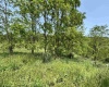 LOT 5 OVERLOOK Drive, Philippi, West Virginia 26416, ,Lots/land,For Sale,OVERLOOK,10159845