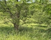 LOT 5 OVERLOOK Drive, Philippi, West Virginia 26416, ,Lots/land,For Sale,OVERLOOK,10159845