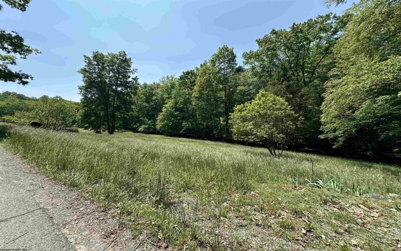 524 Mount Union Road, Buckhannon, West Virginia 26201, ,Lots/land,For Sale,Mount Union,10159838