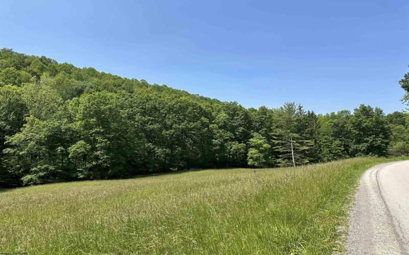 524 Mount Union Road, Buckhannon, West Virginia 26201, ,Lots/land,For Sale,Mount Union,10159838