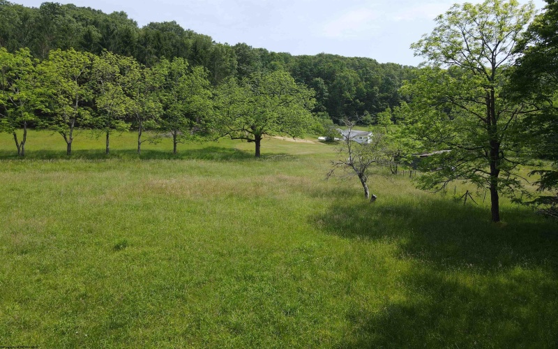 524 Mount Union Road, Buckhannon, West Virginia 26201, ,Lots/land,For Sale,Mount Union,10159838