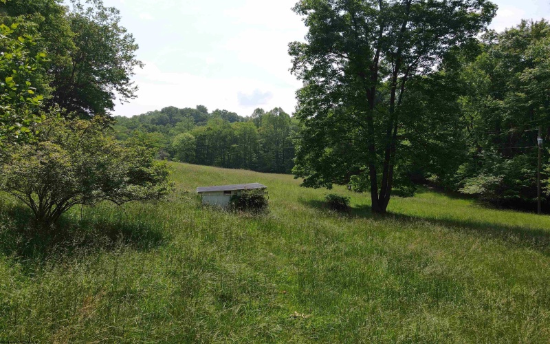 524 Mount Union Road, Buckhannon, West Virginia 26201, ,Lots/land,For Sale,Mount Union,10159838