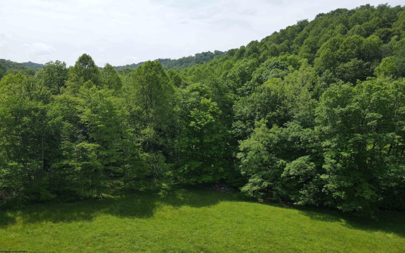 524 Mount Union Road, Buckhannon, West Virginia 26201, ,Lots/land,For Sale,Mount Union,10159838