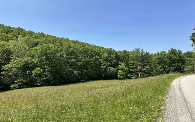 524 Mount Union Road, Buckhannon, West Virginia 26201, ,Lots/land,For Sale,Mount Union,10159838