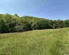 524 Mount Union Road, Buckhannon, West Virginia 26201, ,Lots/land,For Sale,Mount Union,10159838