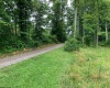 TBD Alexander Road, French Creek, West Virginia 26218, ,Lots/land,For Sale,Alexander,10159871