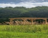 TBD Alexander Road, French Creek, West Virginia 26218, ,Lots/land,For Sale,Alexander,10159871