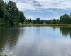 TBD Alexander Road, French Creek, West Virginia 26218, ,Lots/land,For Sale,Alexander,10159871
