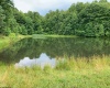 TBD Alexander Road, French Creek, West Virginia 26218, ,Lots/land,For Sale,Alexander,10159871