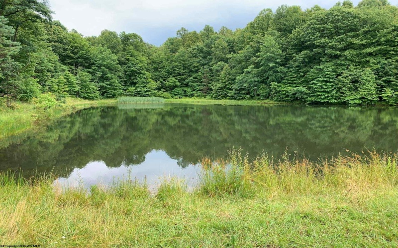 TBD Alexander Road, French Creek, West Virginia 26218, ,Lots/land,For Sale,Alexander,10159871