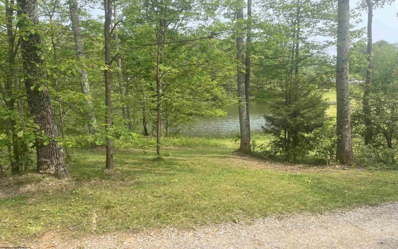 TBD Alexander Road, French Creek, West Virginia 26218, ,Lots/land,For Sale,Alexander,10159871