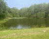 TBD Alexander Road, French Creek, West Virginia 26218, ,Lots/land,For Sale,Alexander,10159871