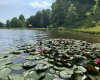TBD Alexander Road, French Creek, West Virginia 26218, ,Lots/land,For Sale,Alexander,10159871