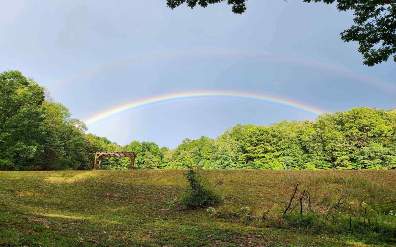 TBD Alexander Road, French Creek, West Virginia 26218, ,Lots/land,For Sale,Alexander,10159871