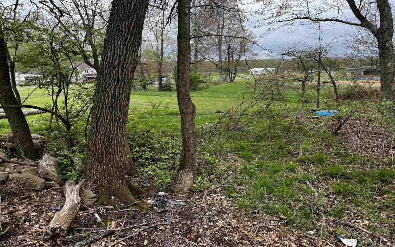 TBD West Street, Reedsville, West Virginia 26547, ,Lots/land,For Sale,West,10159870