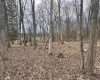 TBD West Street, Reedsville, West Virginia 26547, ,Lots/land,For Sale,West,10159870