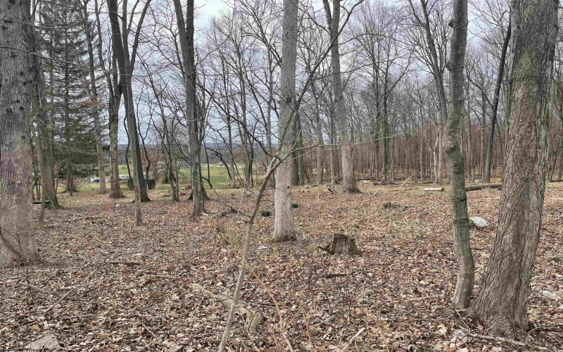 TBD West Street, Reedsville, West Virginia 26547, ,Lots/land,For Sale,West,10159870