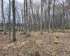 TBD West Street, Reedsville, West Virginia 26547, ,Lots/land,For Sale,West,10159870
