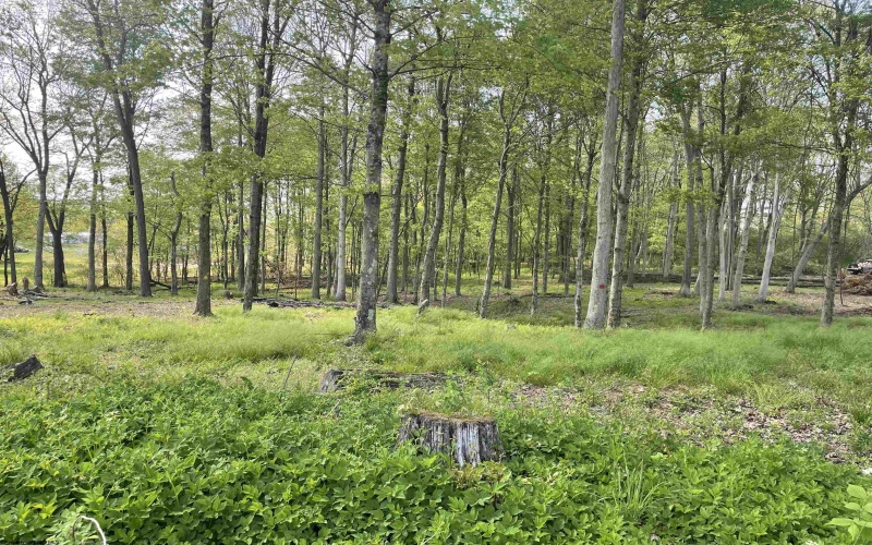 TBD West Street, Reedsville, West Virginia 26547, ,Lots/land,For Sale,West,10159870
